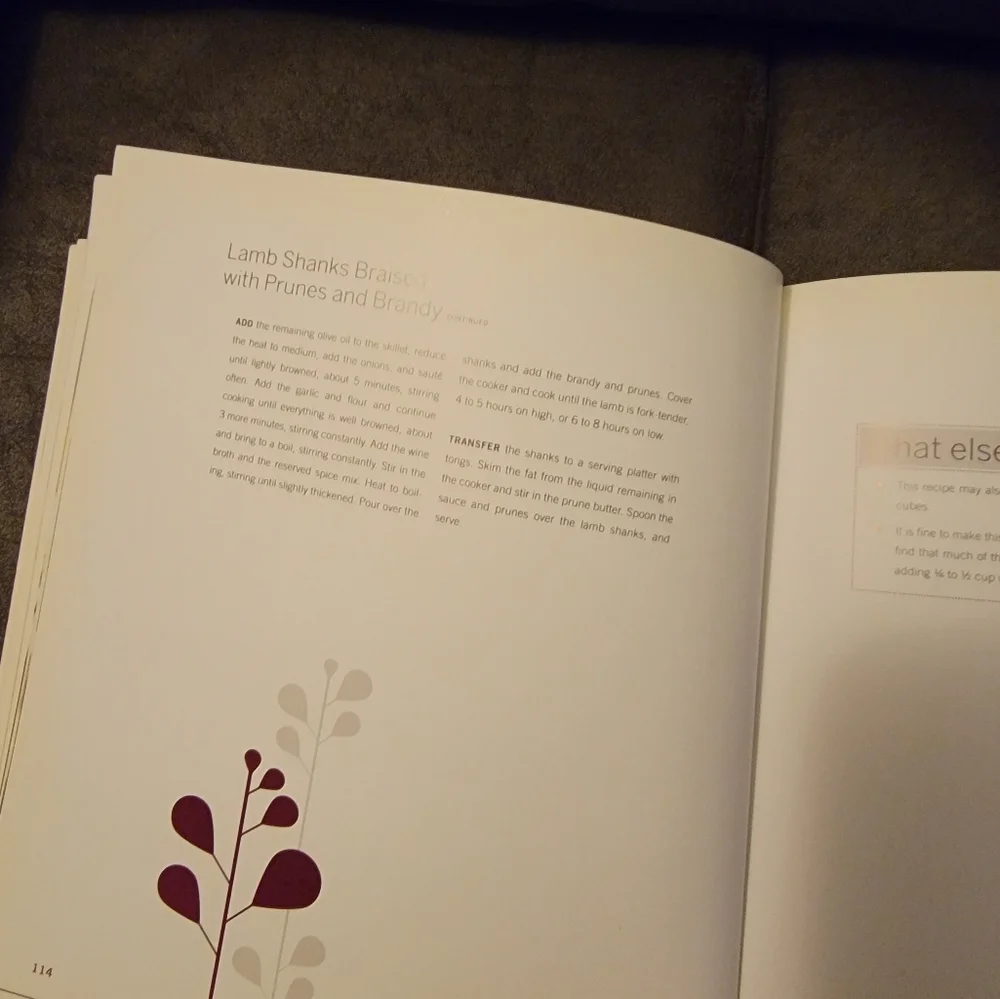 Art of the Slow Cooker by Andrew Schloss‎